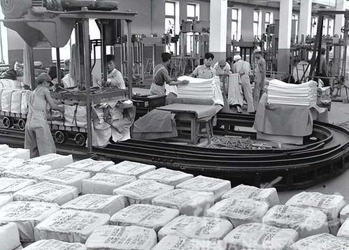 哈尔滨亚麻纺织厂五十至八十年代老照片